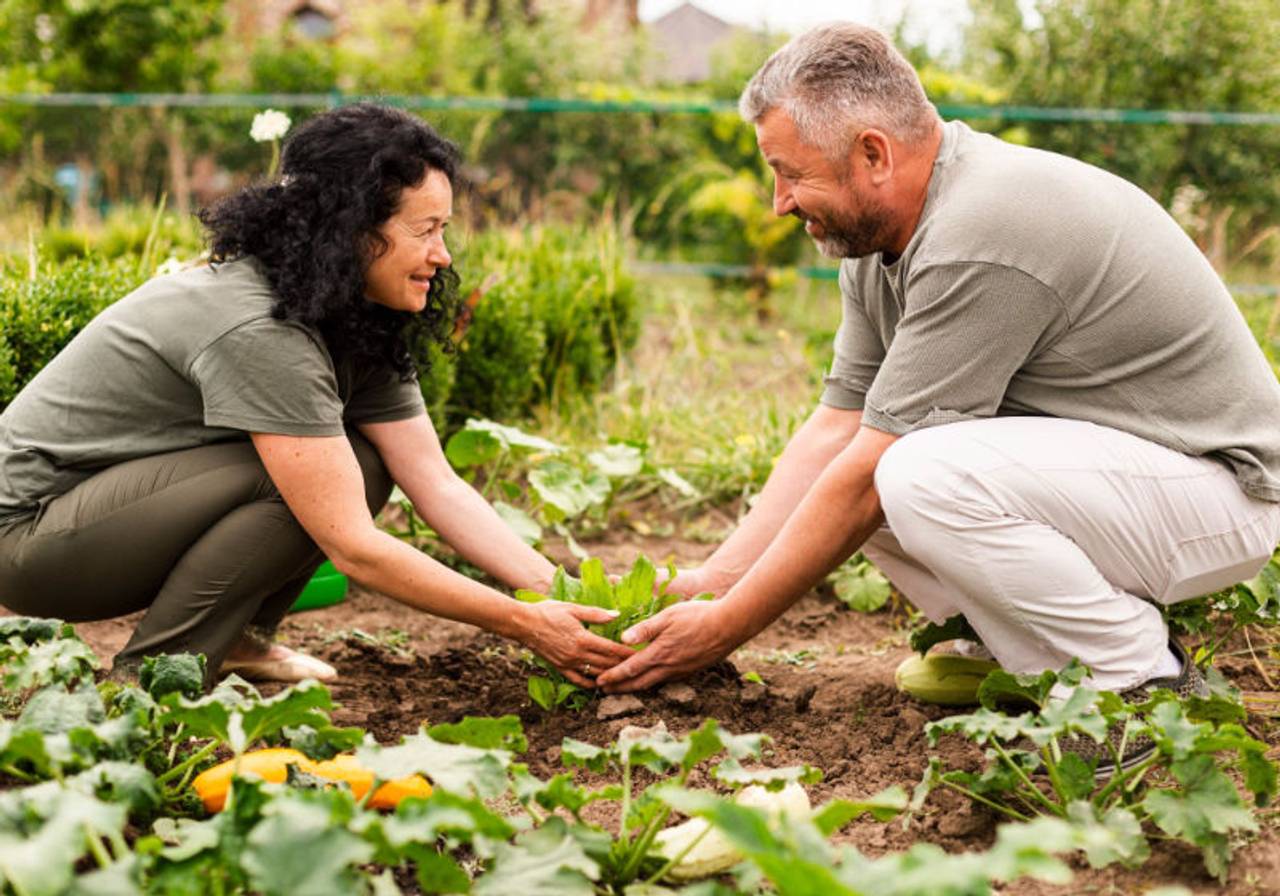 casal cuidando juntos de uma horta 