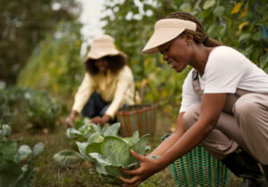 mulheres cuidando de uma hortinha comunitária